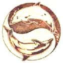 Ganzheitlicher Naturheiler Bergisch Gladbach, manfred josef Ganzheitlicher Naturheiler Bergisch Gladbach manfred josef