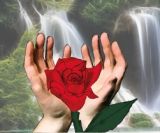 Reiki-Lehrerin, Klangcodes & Gesundheitsberaterin Trossingen, Sonja Messner Reiki-Lehrerin, Klangcodes & Gesundheitsberaterin Trossingen Sonja Messner
