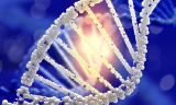 Gesundheitsberatung und energetisches Heilen Offingen, Elke Neudeck Gesundheitsberatung und energetisches Heilen Offingen Elke Neudeck