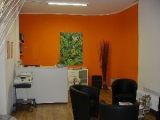 Hochtontherapie - Schulung und Beratung Köln, Paul Bach Hochtontherapie - Schulung und Beratung Köln Paul Bach