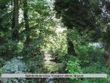 Heilpraktiker Gießen, Frank Bensmann Heilpraktiker Gießen Frank Bensmann
