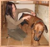 Tierheilpraktikerin/Tierpsychologin Chemnitz, Cornelia Köhler Tierheilpraktikerin/Tierpsychologin Chemnitz Cornelia Köhler