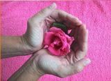 TouchLife Massagetherapeutin, Reiki Meisterin Wiesbaden, Corinne Schneider TouchLife Massagetherapeutin, Reiki Meisterin Wiesbaden Corinne Schneider