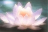 Reikilehrer, Reflexologe, Hypnotiseur, Lebensberater Hemmersdorf, Andrea Jung Sabine Schue Stephan Ninnig Reikilehrer, Reflexologe, Hypnotiseur, Lebensberater Hemmersdorf Andrea Jung Sabine Schue Stephan Ninnig