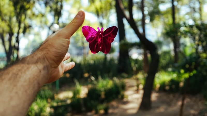 Heftige Probleme können sich wandeln: Von der Raupe zum wunderschönen Schmetterling