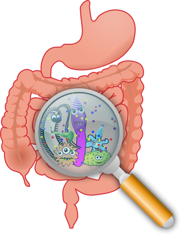 Diagnose Diabetes: Therapie im Überblick Diagnose Diabetes: Therapie im Überblick