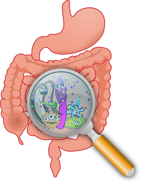 Diagnose Diabetes: Therapie im Überblick