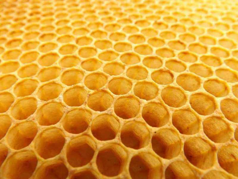 Das wertvolle Gold der Bienen