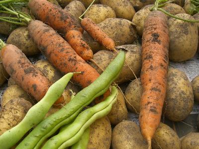 Psychotherapie-Ernährungsberatung-Abnehmen