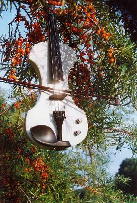 E-Violine im Baum