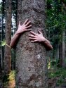 Naturrituale