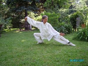 Tai Chi - tiefe Peitsche