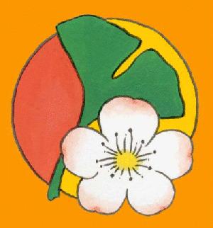 Naturheilpraxis Misao Morota, Düsseldorf