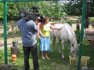 Bei den TV-Aufnahmen für das MDR-Magazin zum Thema  Tierkommunikation 