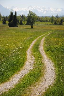 Das Ziel ist der Weg