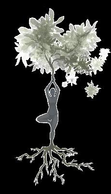 Verbindungen