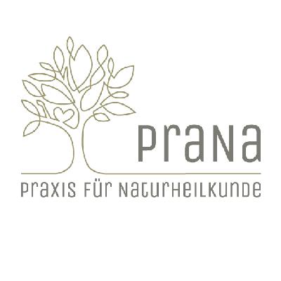 Praxis Logo