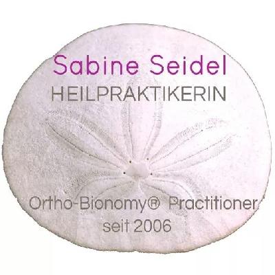 Sanddollar von Sabine Seidel