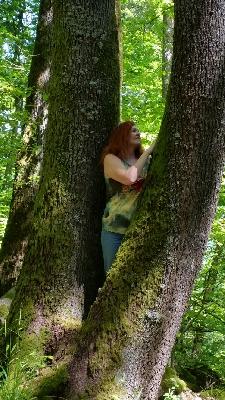 Keine NamIn der Natur auf dem Odilienberge