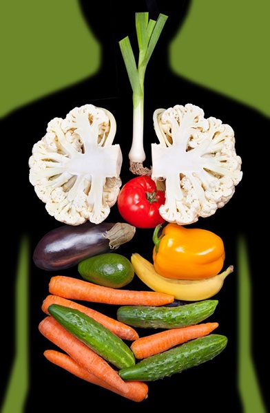 Bio-Lebensmittel zur Erhaltung der Gesundheit