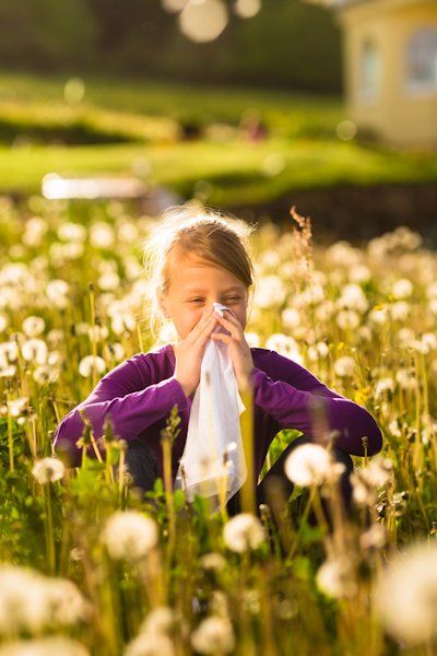 Heuschnupfen & andere Allergien