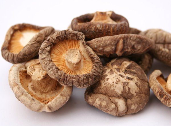 Shiitake als Heilpilz